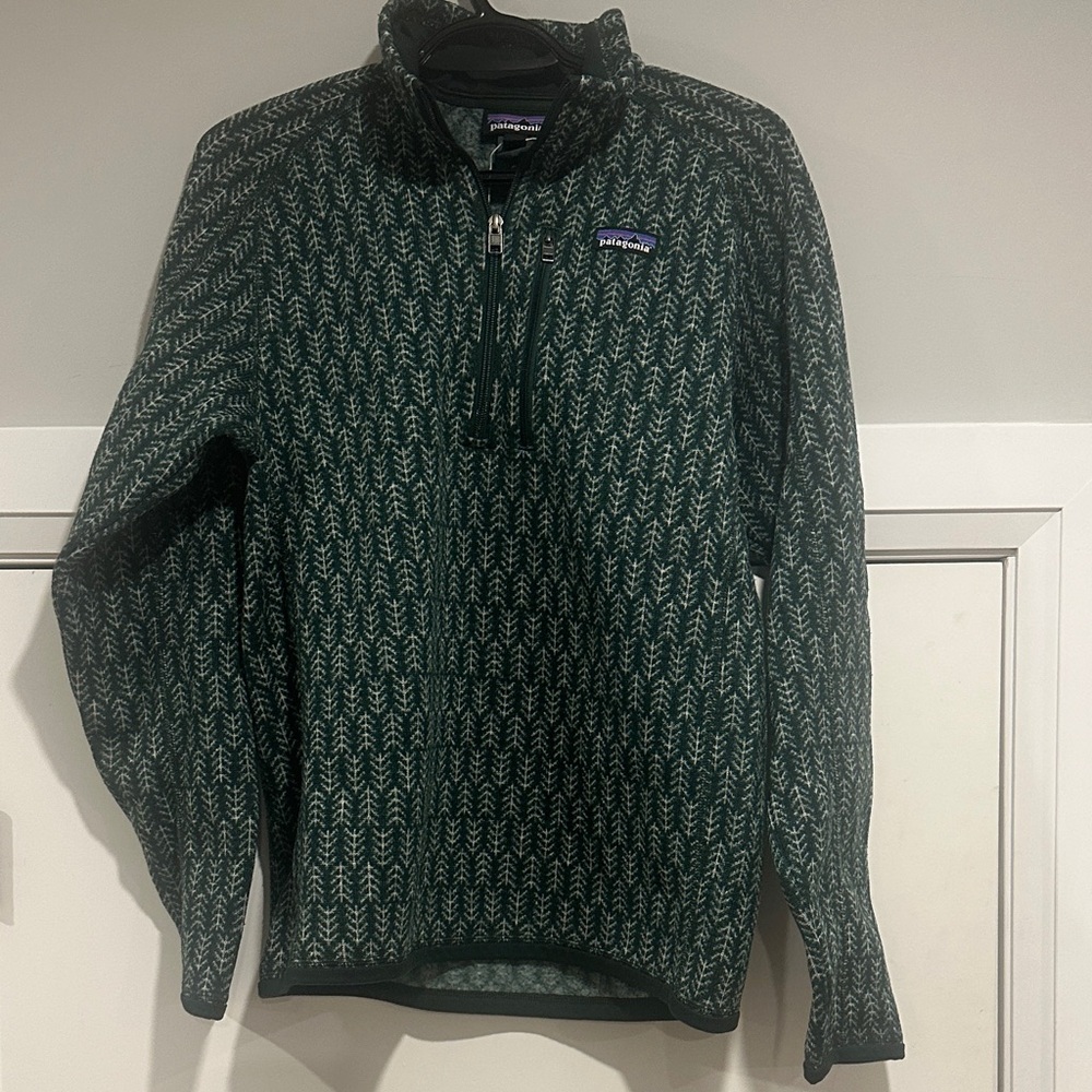 Patagonia Men's Zip-Up Sweater in Green and White